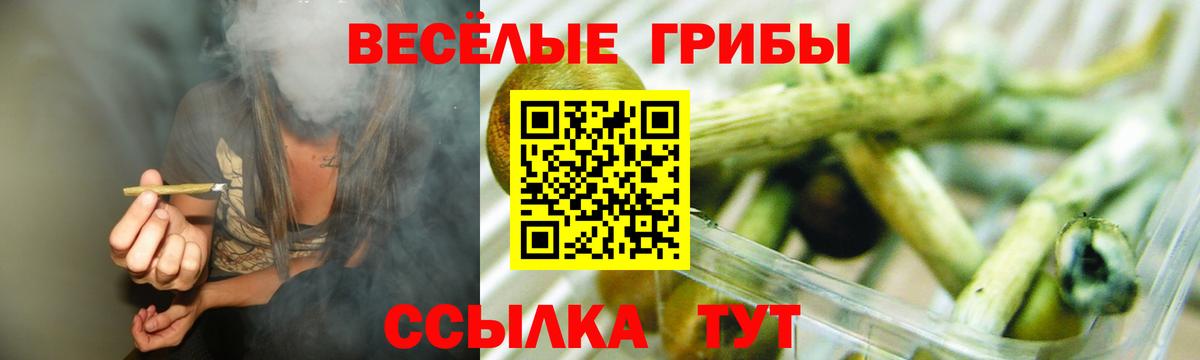 Белебей  Псилоцибиновые грибы Cubensis  Вход с VPN 